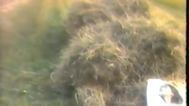 Соколи - Така її доля смотреть онлайн