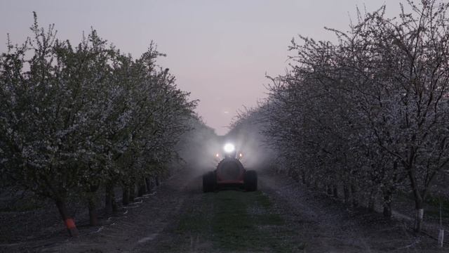 The Job Swap Experiment: A Bee Understanding Project Film смотреть онлайн