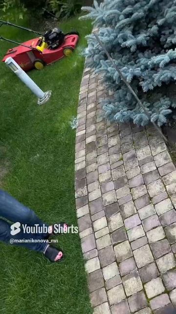 Битва за рилс 💪😂 смотреть онлайн