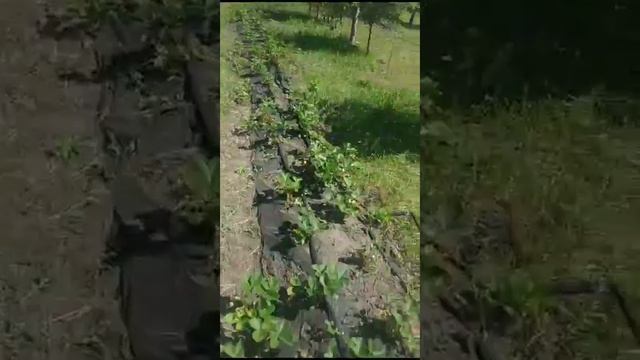 29 февраля 2024 г. (2) смотреть онлайн