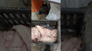 #Позем из щуки