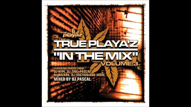 Dj Pascal True Playaz In The Mix Vol 3 (2004) смотреть онлайн