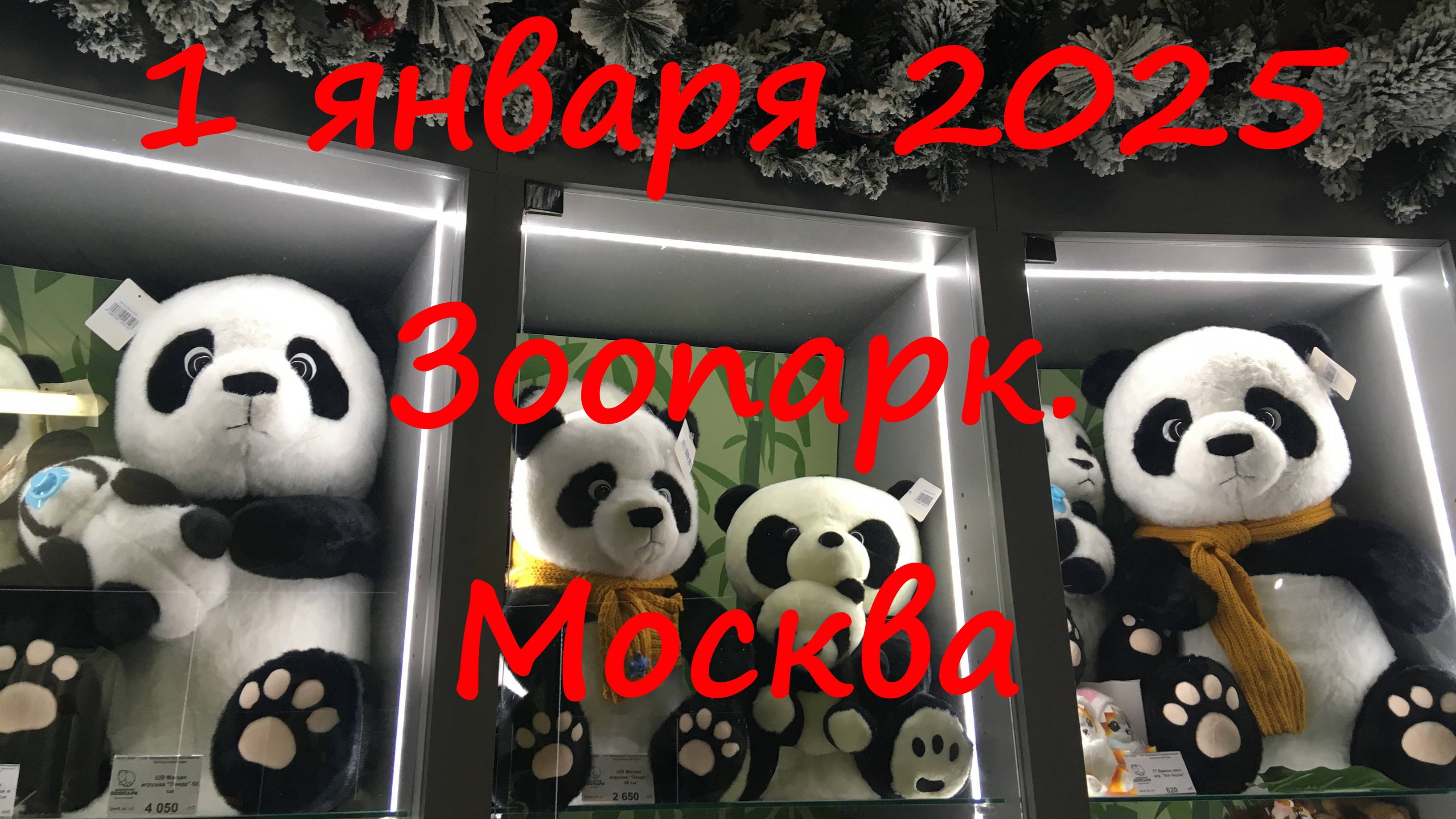 1 января 2025 года в зоопарке. Москва. смотреть онлайн