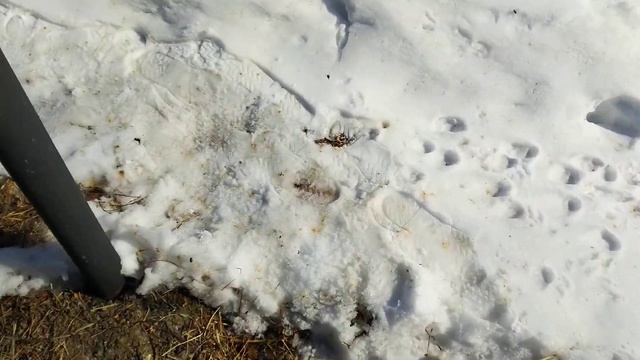 Девчонки полетели.+3,5 ясно и тепло. смотреть онлайн