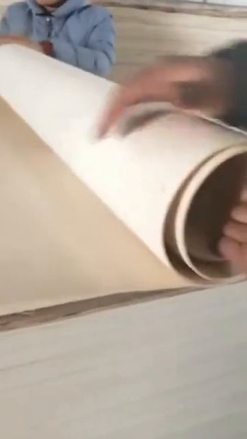 Bending Plywood смотреть онлайн