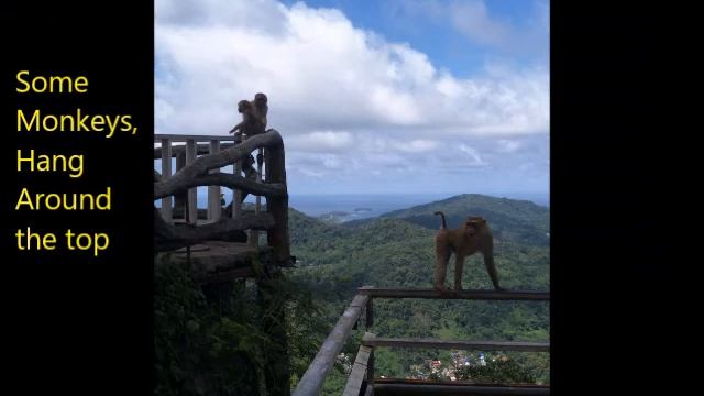 Let's Go To Thailand, Phuket: Day 1 Vlog смотреть онлайн