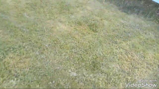 Кормление и выгуливание Флюка! смотреть онлайн