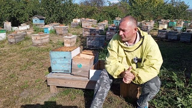 Матковыводной сезон 2023 Ч2 смотреть онлайн