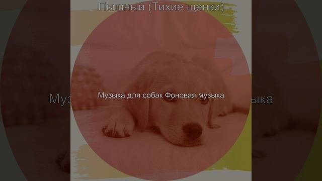 Звуки (Щенки) смотреть онлайн