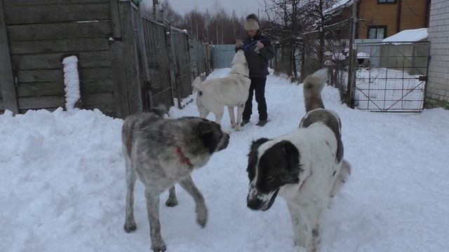 Давай потанцуем, мама! смотреть онлайн