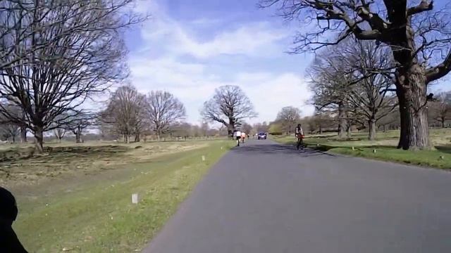 Richmond Park from Robin Hood gate смотреть онлайн