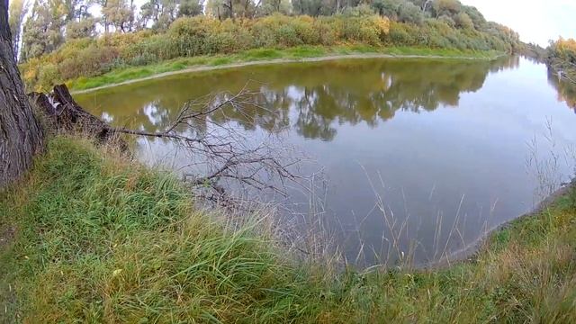 ПЯТНИЦА 13, НАС ПОРАДОВАЛА! коп монет 2019 г. XP Deus ! смотреть онлайн