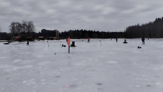 Видеоотчет смотреть онлайн