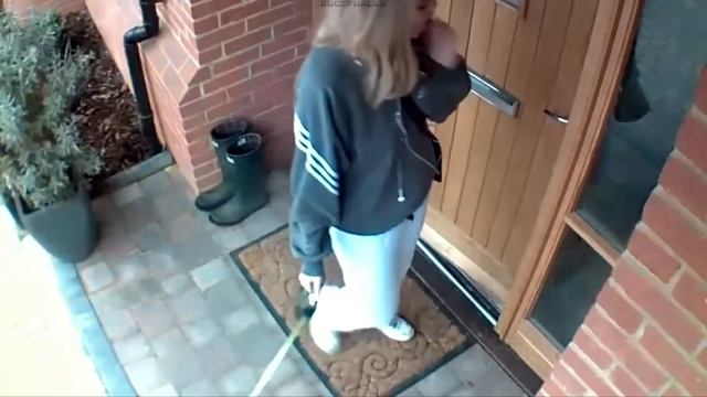 Удивительные Случаи с Животными Снятые на Камеру. Рекомендации. смотреть онлайн