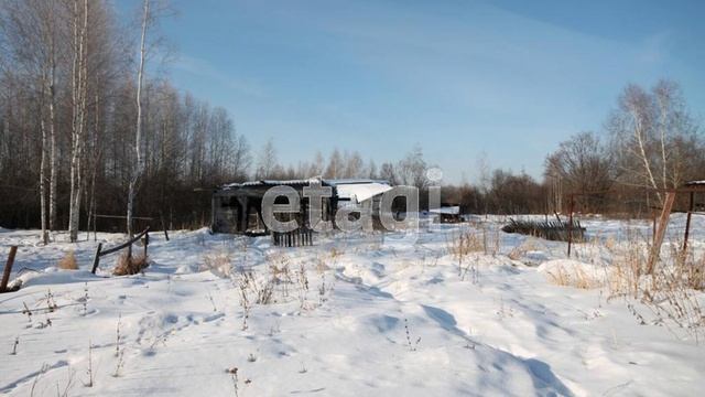 1983608 смотреть онлайн