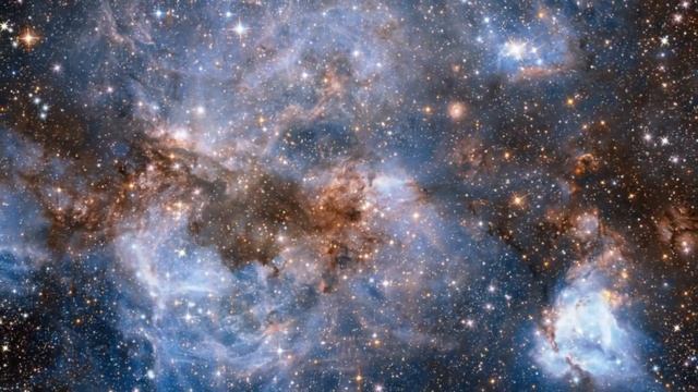 "Шаманский Лес". Лия. Глава 1 смотреть онлайн