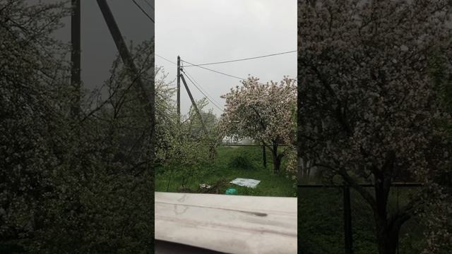 Релакс в саду под дождик смотреть онлайн