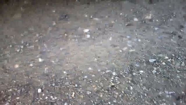 заснял блин смотреть онлайн