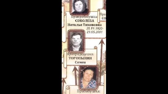 Моя родословная Стариенко Иван 1б класс школа 93 г Барабинск смотреть онлайн