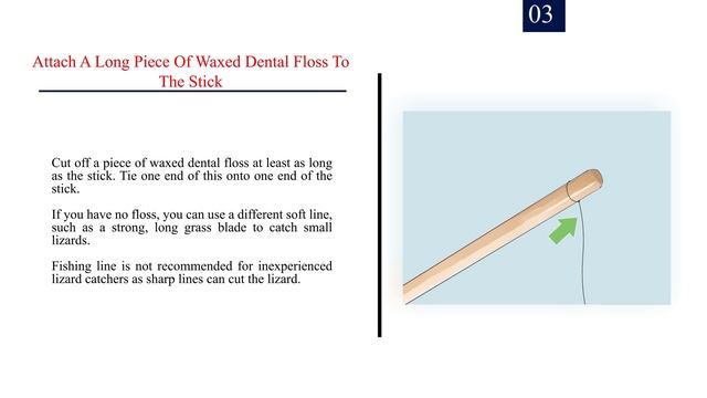 How to Catch a Lizard | 16 Simple Tips | The Guardian's Choice смотреть онлайн
