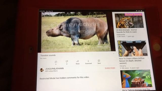 Toxodon Sounds