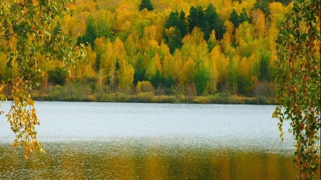 ЖИЗНЬ НА НОВОЙ ЗЕМЛЕ (ВЗАИМОПОМОЩЬ СИЛ СВЕТА) смотреть онлайн