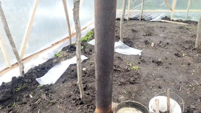 Теплица огуречник с печным отоплением. смотреть онлайн