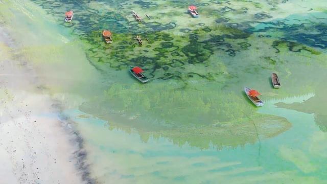 лечебная музыка для сердца и сосудов - Нежная музыка, успокаивает нервную систему и радует душу #7 смотреть онлайн