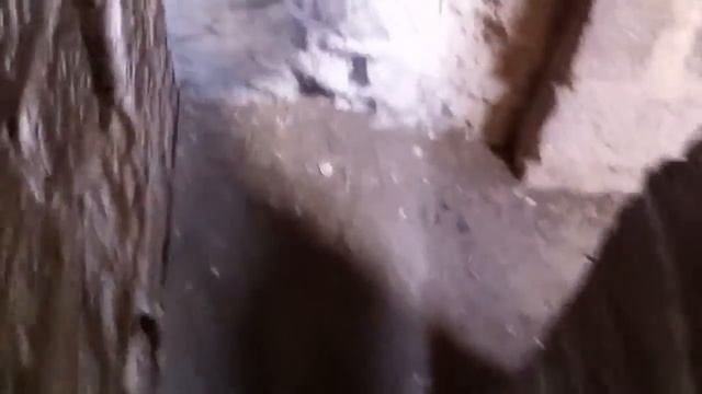 Обзор с башни Palmar de Troya смотреть онлайн