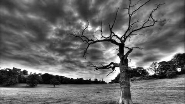 The Hanging Tree смотреть онлайн