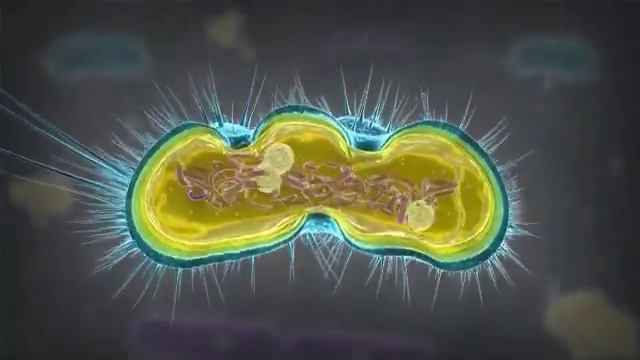 X-Static Mechanism of Action (Italiano) смотреть онлайн