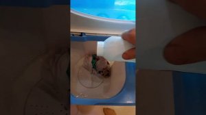 обзор на стиральную машинку активаторного типа Renova ws-50pet с пояснением по авито для авито же.