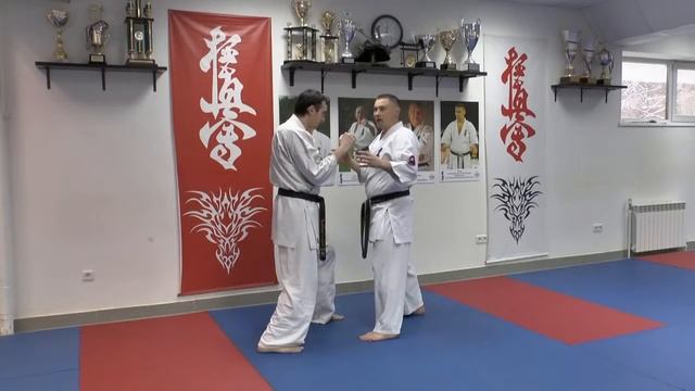 WFKO Shita tsuki kumite Shihan Alexei Gorokhov Lesson 3 смотреть онлайн