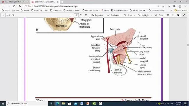 Lec 6 infratemporal fossa смотреть онлайн