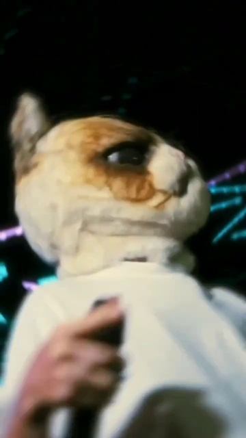 Купин и Чайков смотреть онлайн