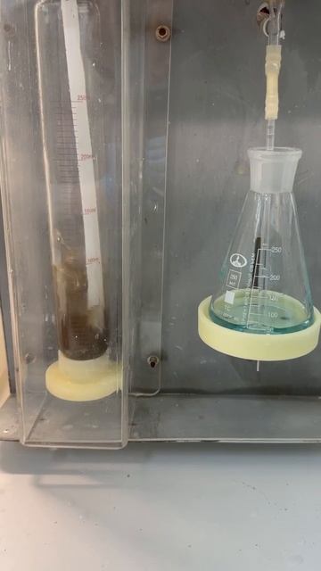 Процесс определения м.д. белка в молочной сыворотке этап 1 (il-mskts.ru) смотреть онлайн