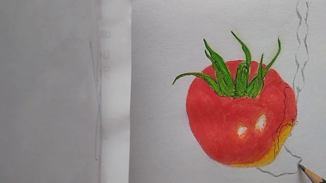 Realistic Tomato Drawing/malarovium смотреть онлайн