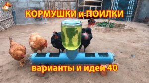 Кормушки и поилки для кур своими руками 40 🪚✂️ Пошаговая инструкция как сделать 🐔 🐓❣️