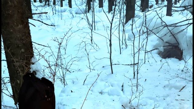 Н Панченко  Неужто Пушкину ума #философскаялирика #поэзия20века #ОПушкине