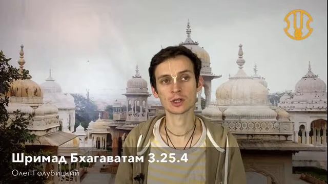 Центр развития харинамы смотреть онлайн