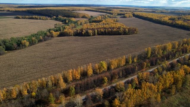 Ненашево Заокский район Тульской области 114 смотреть онлайн