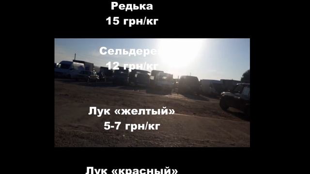 Огурец подорожал. Цены в Копанях на рынке 16.10 смотреть онлайн