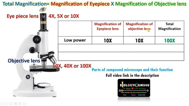 Total Magnification of a Microscope || Total Magnification of Microscope Formula смотреть онлайн