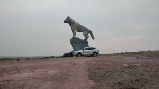 Волк в. степи, горы улы тау смотреть онлайн