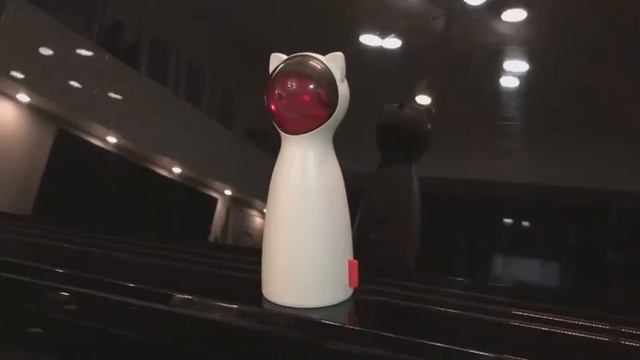 Cat Laser Robot смотреть онлайн