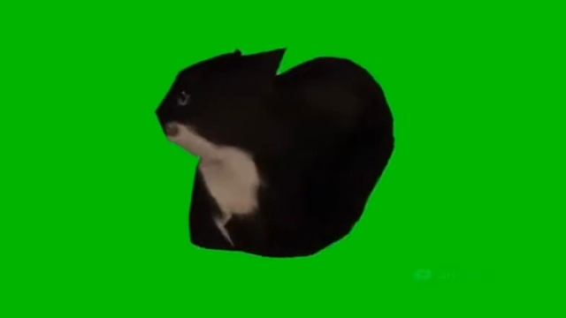 maxwell cat (dance+spin)green screen#maxwell #memes смотреть онлайн