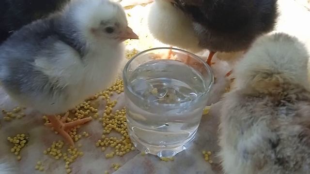 солнечные ванны. часть оставила себе смотреть онлайн