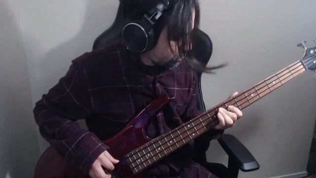 Coal Chamber bass cover - Tyler's Song смотреть онлайн