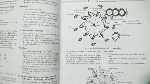 Theory-Structure and Functions of cell|#MscEntranceexamPreparation |Zoology|Lecture-6| Part-D смотреть онлайн