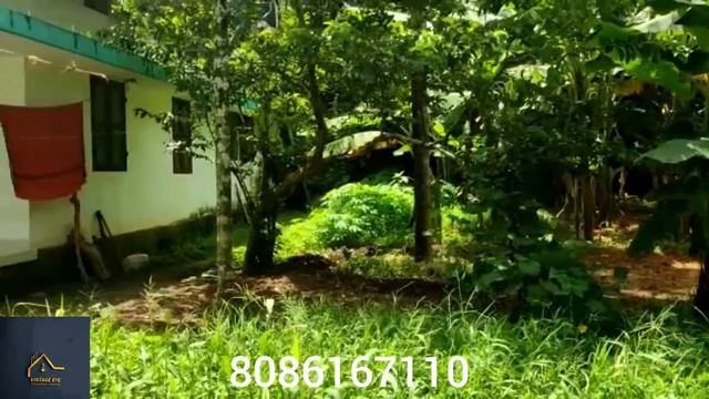 House for sale || Mapranam || Thrissur || 3 BHK || 900 sqft || 5 cent || Nice Place || Sale смотреть онлайн